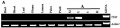 Thumbnail for version as of 09:56, 9 September 2013