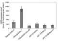 Thumbnail for version as of 14:06, 7 June 2014