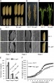 Thumbnail for version as of 07:28, 6 June 2014