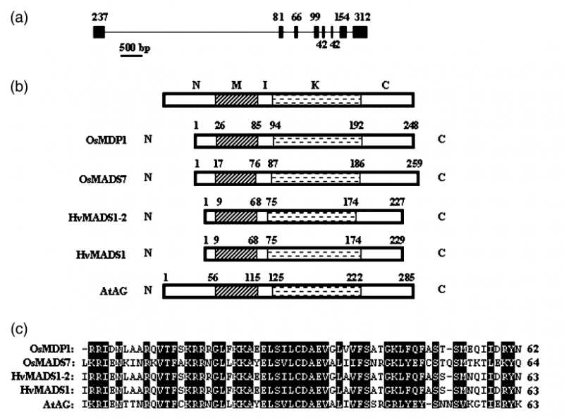 File:49.png
