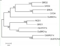 Thumbnail for version as of 07:14, 3 March 2015