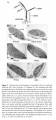 Thumbnail for version as of 07:55, 8 June 2014