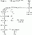 Thumbnail for version as of 14:06, 26 December 2014