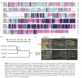 Thumbnail for version as of 09:53, 25 May 2014