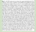 Thumbnail for version as of 16:30, 8 June 2014