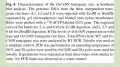 Thumbnail for version as of 16:31, 8 June 2014