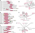 Thumbnail for version as of 02:35, 8 June 2014