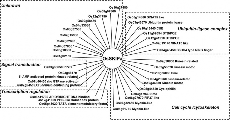 File:Extension.jpg