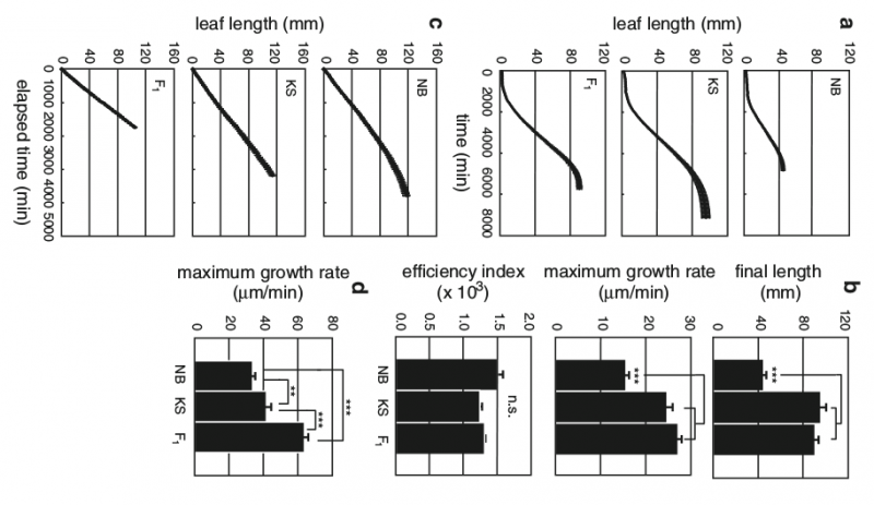 File:IC4R001-Phenomics-2010-X63158156-1.png