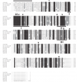 Thumbnail for version as of 07:40, 10 June 2014