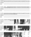Thumbnail for version as of 11:12, 6 June 2014