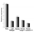 Thumbnail for version as of 02:50, 31 May 2014