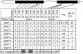 Thumbnail for version as of 15:22, 10 June 2014