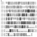 Thumbnail for version as of 02:59, 10 June 2014