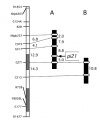 Thumbnail for version as of 07:25, 23 May 2014