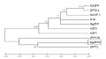 Thumbnail for version as of 03:33, 2 January 2015