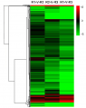 Thumbnail for version as of 16:43, 13 July 2016
