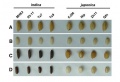 Thumbnail for version as of 14:40, 13 May 2014