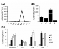 Thumbnail for version as of 14:40, 26 May 2014