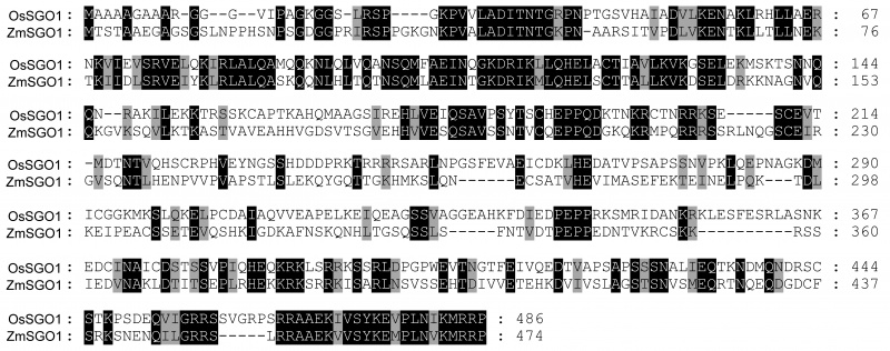 File:Figure S2.jpg