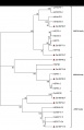 Thumbnail for version as of 16:40, 2 January 2015