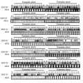 Thumbnail for version as of 04:46, 5 June 2014