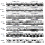 FigureS2.png