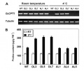 Thumbnail for version as of 15:46, 6 June 2014