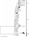 Thumbnail for version as of 14:01, 20 May 2014