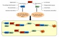 Thumbnail for version as of 08:05, 9 June 2014