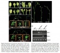 Thumbnail for version as of 08:46, 9 June 2014