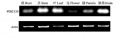 Thumbnail for version as of 01:50, 11 May 2014