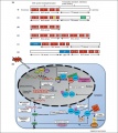 Thumbnail for version as of 01:55, 24 May 2014