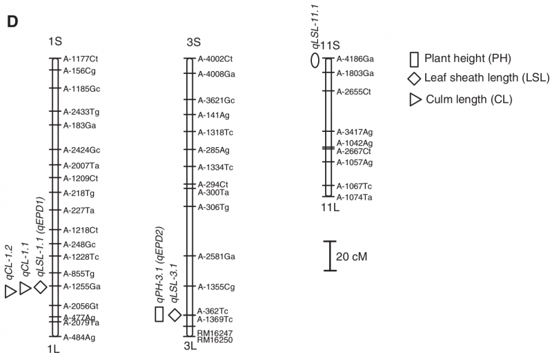 File:IC4R005-Microarray-2012-22419825-3.png