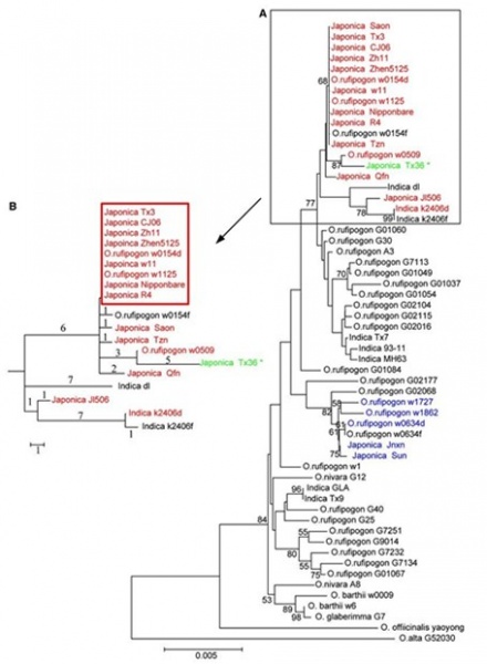 File:Example1111.jpg