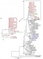 Thumbnail for version as of 15:27, 13 May 2014