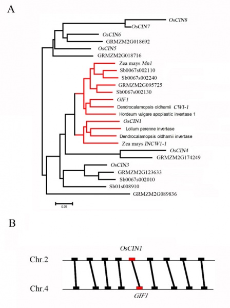 File:Fig4-wyh.jpg