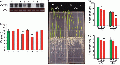 Thumbnail for version as of 12:43, 19 May 2014