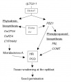 Thumbnail for version as of 09:15, 4 June 2014