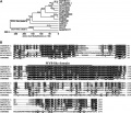 Thumbnail for version as of 01:58, 2 June 2014