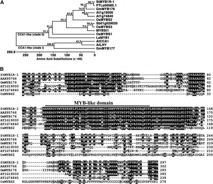 File:Plant Physiol.jpg