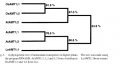 Thumbnail for version as of 03:47, 10 June 2014