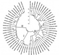 Thumbnail for version as of 00:07, 5 June 2014