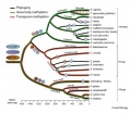 Thumbnail for version as of 08:39, 6 June 2014