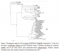 Thumbnail for version as of 03:02, 19 May 2014