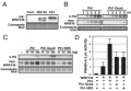 Thumbnail for version as of 04:57, 3 June 2014