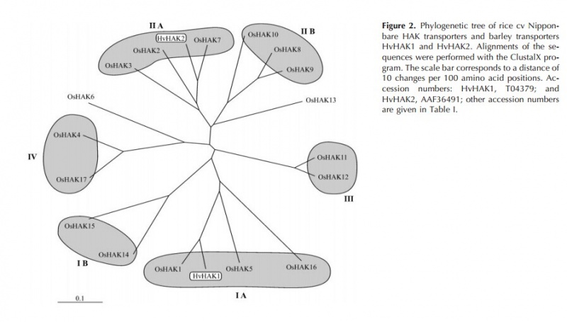 File:Example.jpg