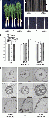Thumbnail for version as of 03:20, 24 May 2014