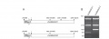 Thumbnail for version as of 13:16, 10 June 2014