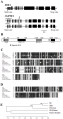 Thumbnail for version as of 11:07, 4 June 2014